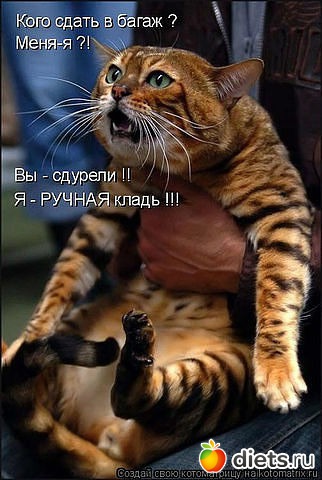 ������ � ��.