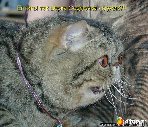 126 ����: ������ � ��.