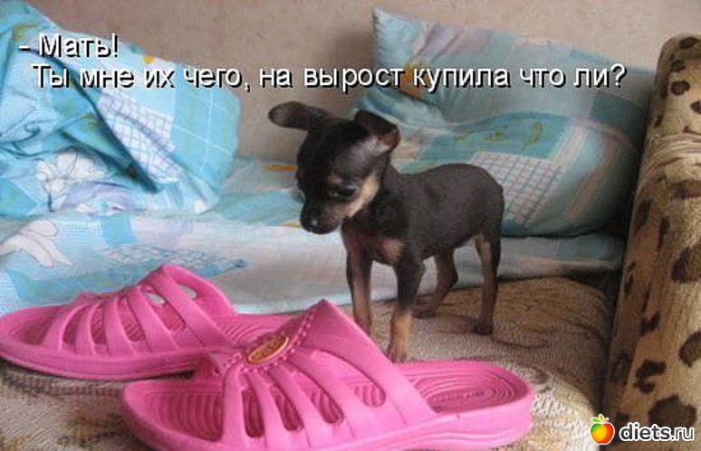 128 ����: ������ � ��.