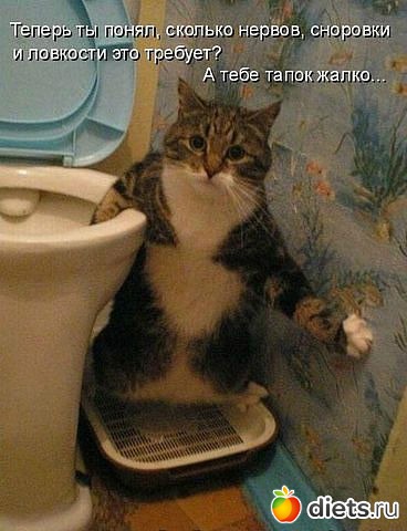 ������ � ��.