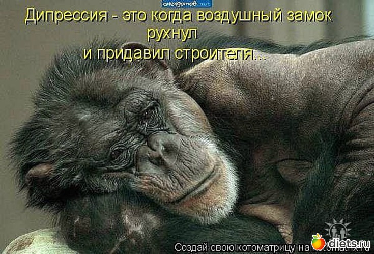 136 ����: ������ � ��.