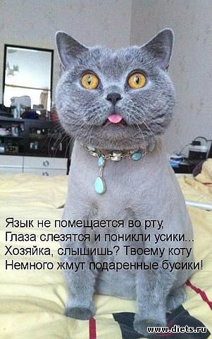 ������ � ��.