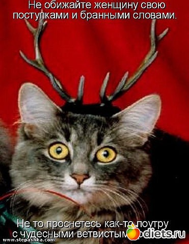 ������ � ��.