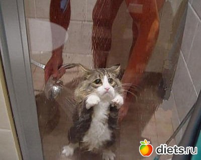 ������ � ��.