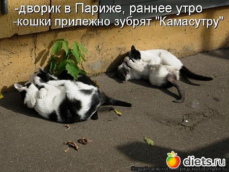 ������ � ��.