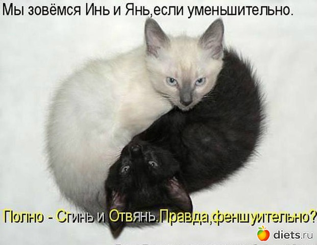 142 ����: ������ � ��.