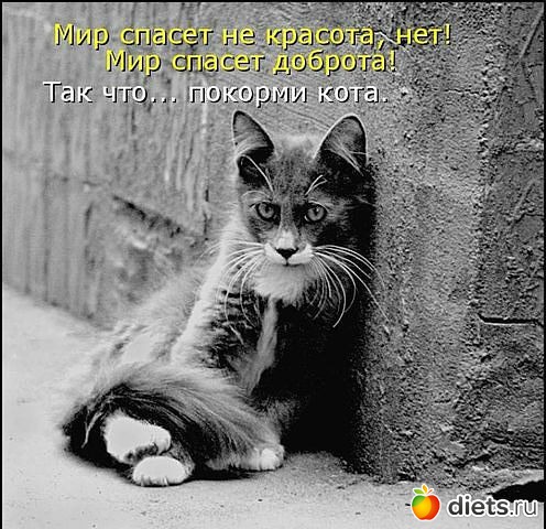 ������ � ��.