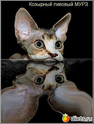 ������ � ��.