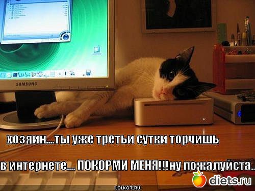 ������ � ��.