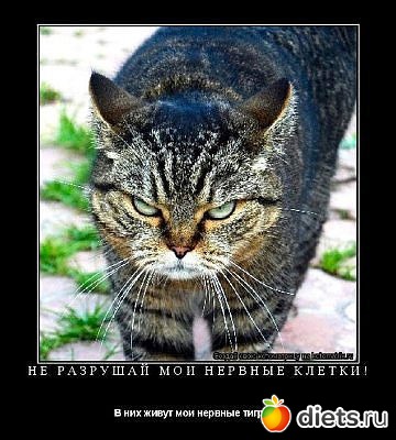 ������ � ��.