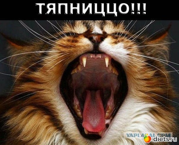 149 ����: ������ � ��.