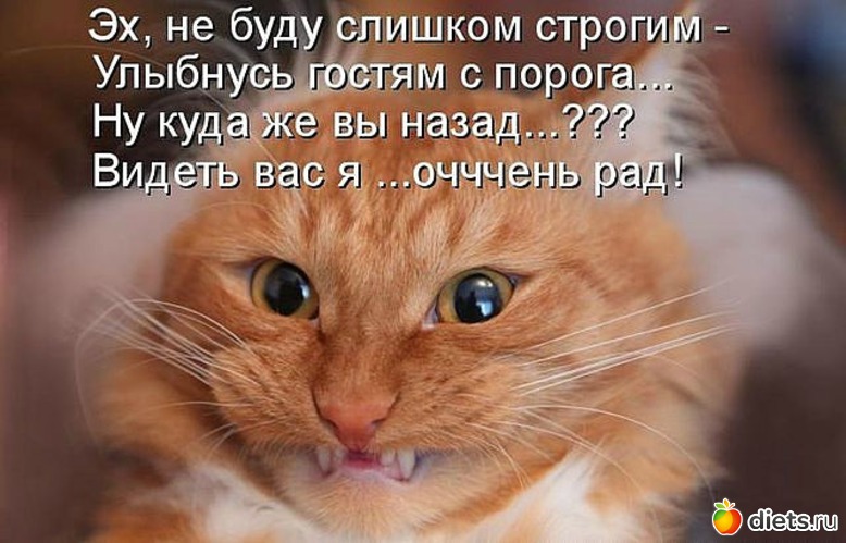 151 ����: ������ � ��.