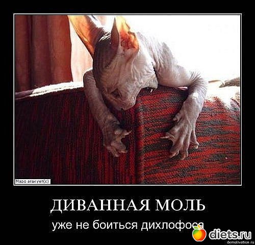 ������ � ��.