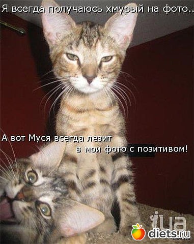 ������ � ��.