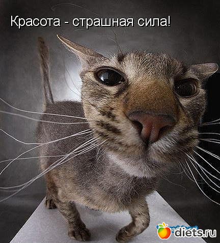 ������ � ��.