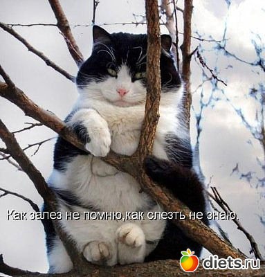 ������ � ��.