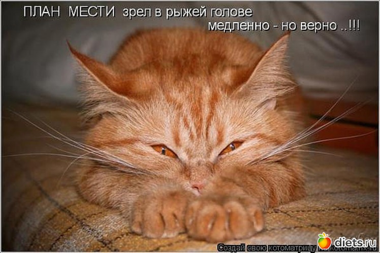 158 ����: ������ � ��.