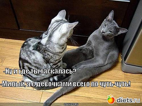 ������ � ��.