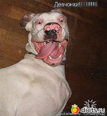 ������ � ��.