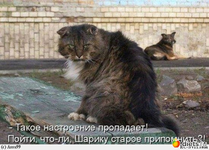 161 ����: ������ � ��.