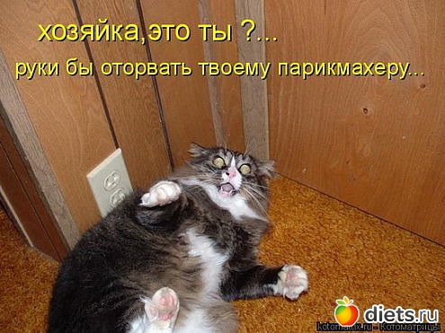 ������ � ��.