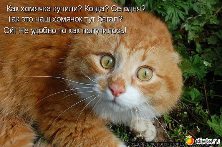 164 ����: ������ � ��.