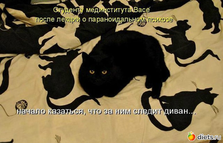 165 ����: ������ � ��.