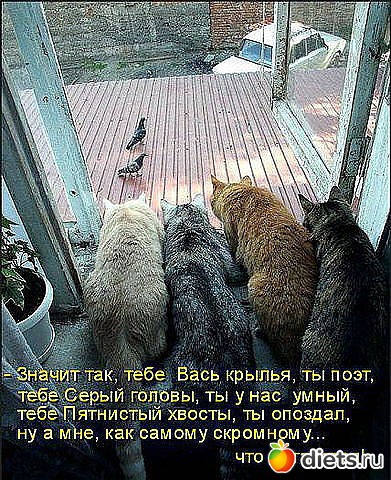 ������ � ��.