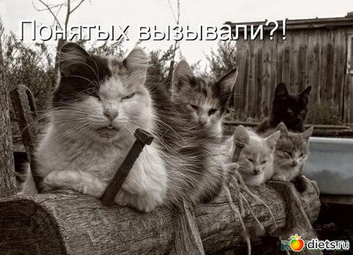 35 ����: ������ � ��.