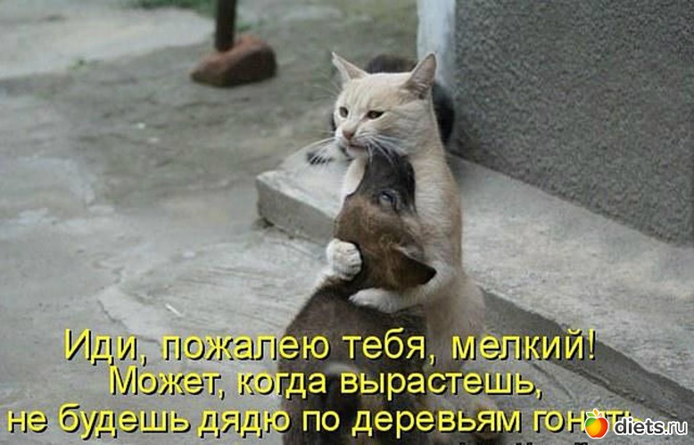 38 ����: ������ � ��.