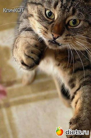 ������ � ��.