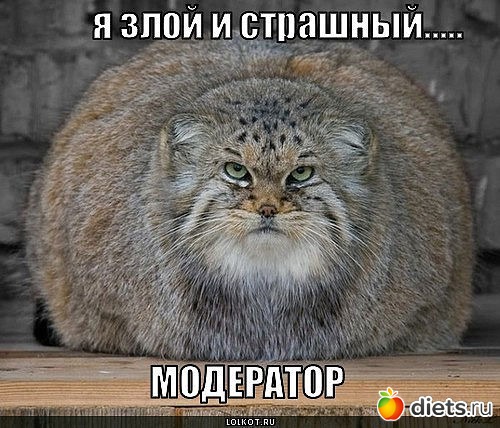 ������ � ��.