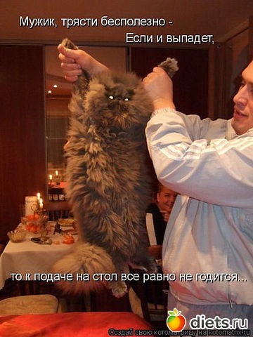 ������ � ��.