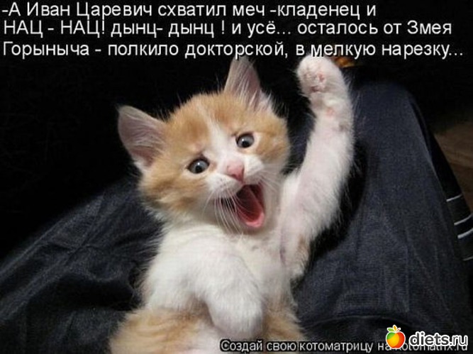 48 ����: ������ � ��.