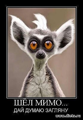 ������ � ��.