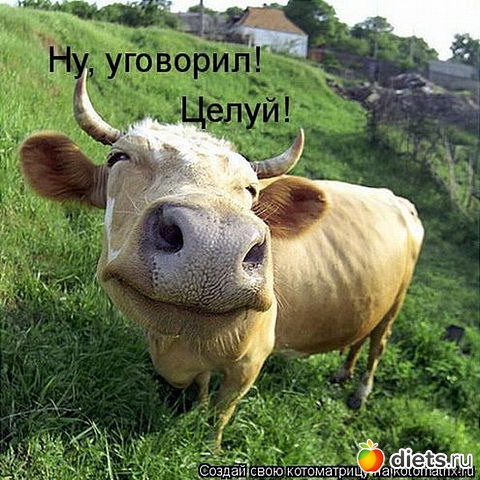 ������ � ��.