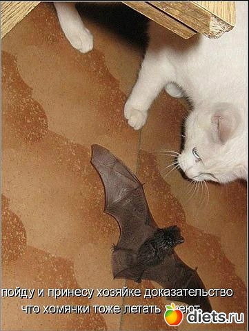 ������ � ��.