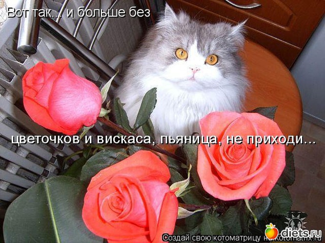 57 ����: ������ � ��.