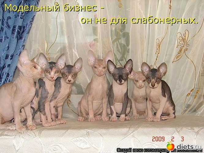 58 ����: ������ � ��.