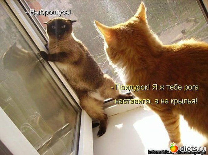 60 ����: ������ � ��.