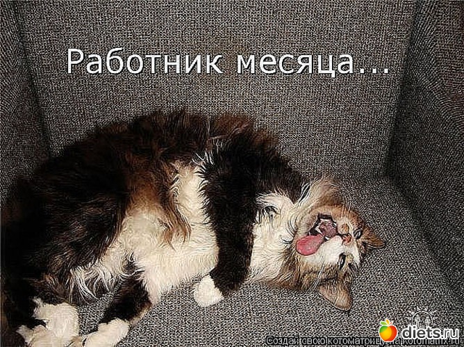 61 ����: ������ � ��.