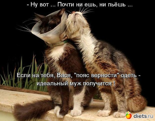 63 ����: ������ � ��.