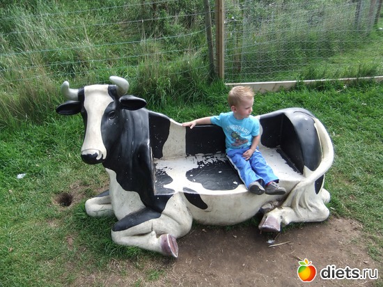 3 ����: York Maze