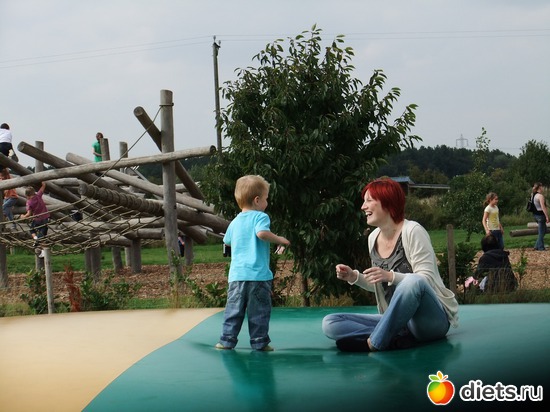 8 ����: York Maze