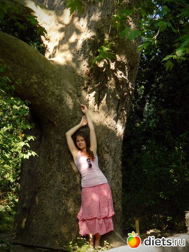 2 ����: ���� 2011