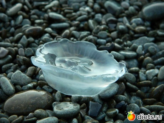 9 ����: ���� 2011