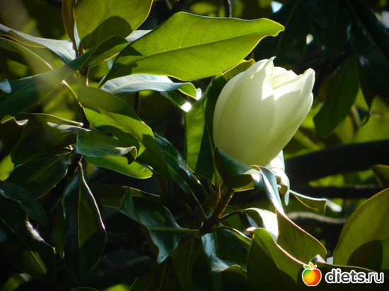 24 ����: ���� 2011