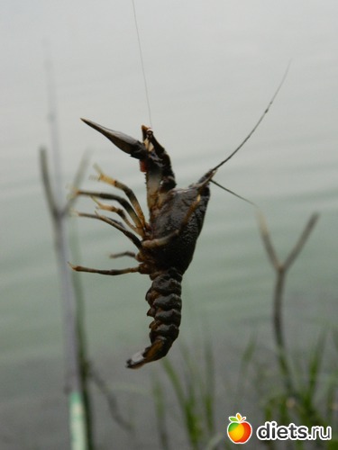 48 ����: ��� ����������