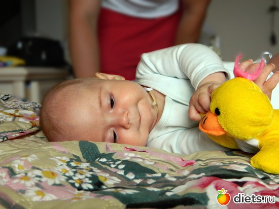 6 ����: ��� ����������