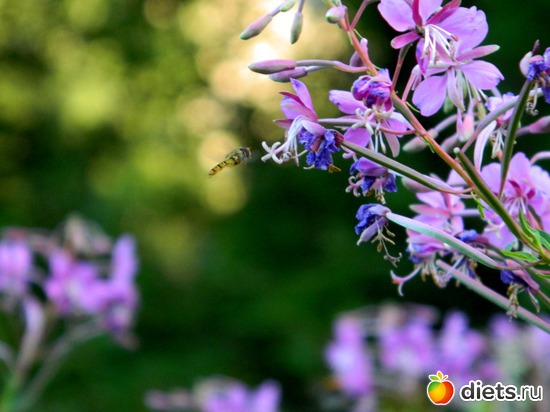 7 ����: ��� ����������